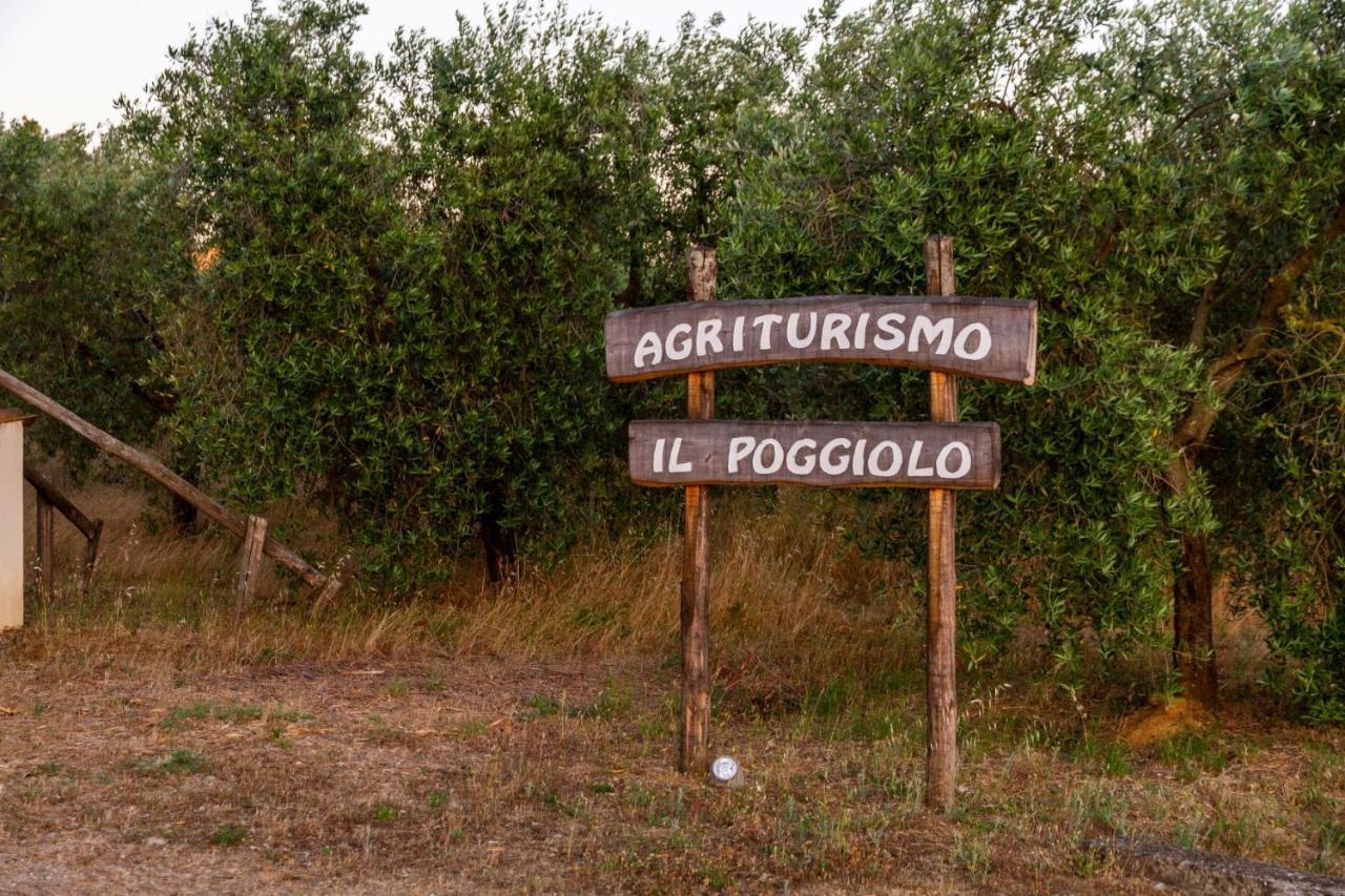 Agriturismo Il Poggiolo Villa Гросето Екстериор снимка